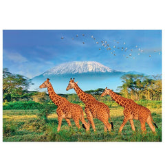 CALYPTO PUZZLE 500 P XL - Girafes - Giraffes