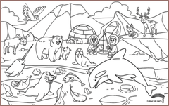 COLOUR ME MATS Arctic Expedition (Colouring Mat Bundle)