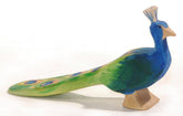 OSTHEIMER Peacock
