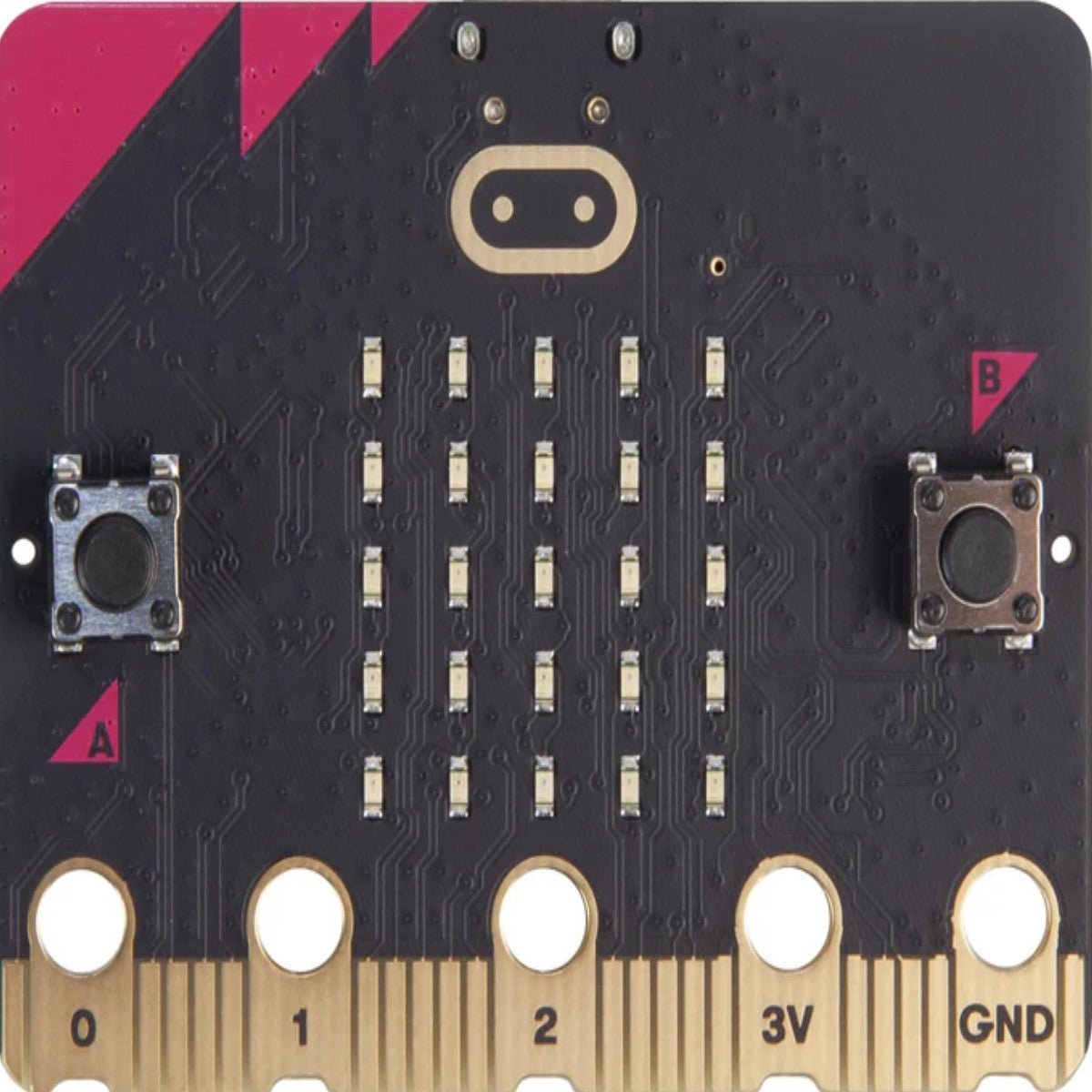 BBC micro:bit V2.2 GO