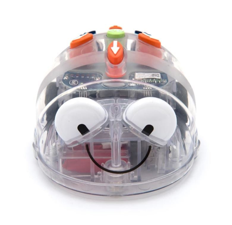 Bee-Bot Blue-Bot (DP)