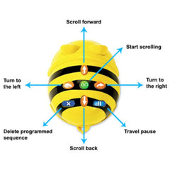 Bee-Bot (DP)