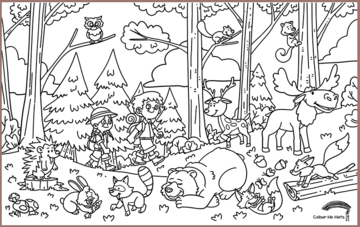 COLOUR ME MATS Into the Woods (Colouring Mat Bundle)