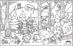 COLOUR ME MATS Into the Woods (Colouring Mat Bundle)