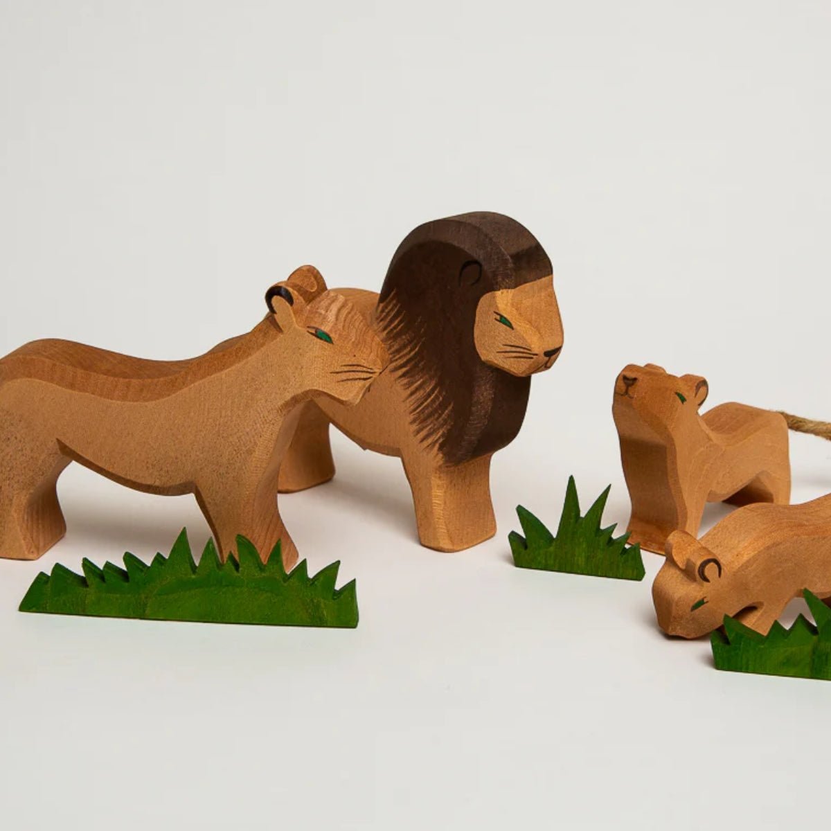 OSTHEIMER Lion male