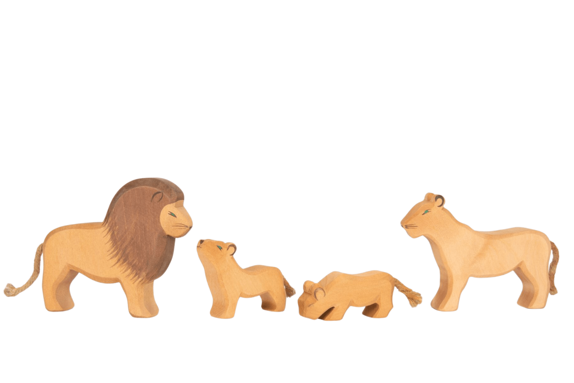 OSTHEIMER Lion Small Head Low