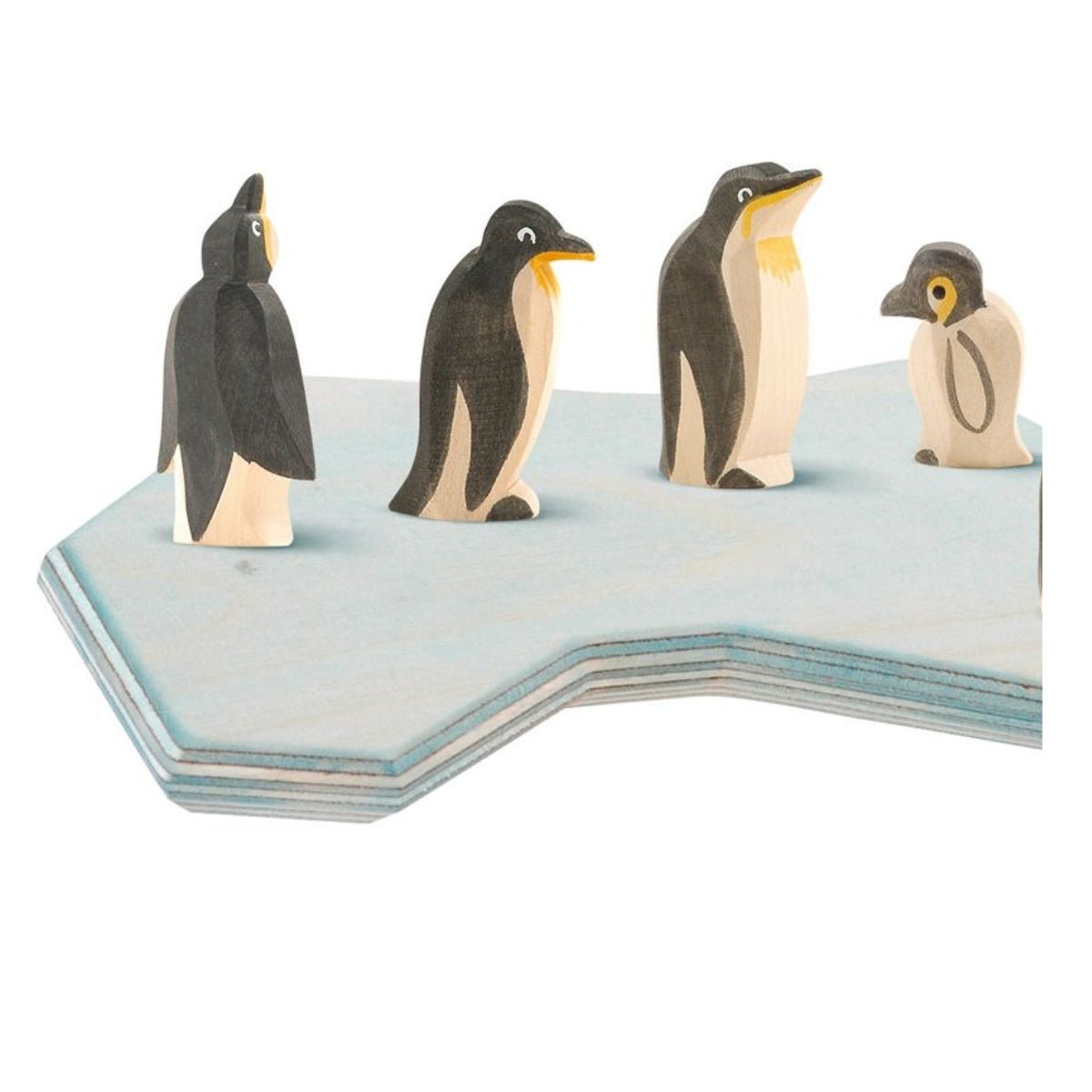 OSTHEIMER Penguin From The Front