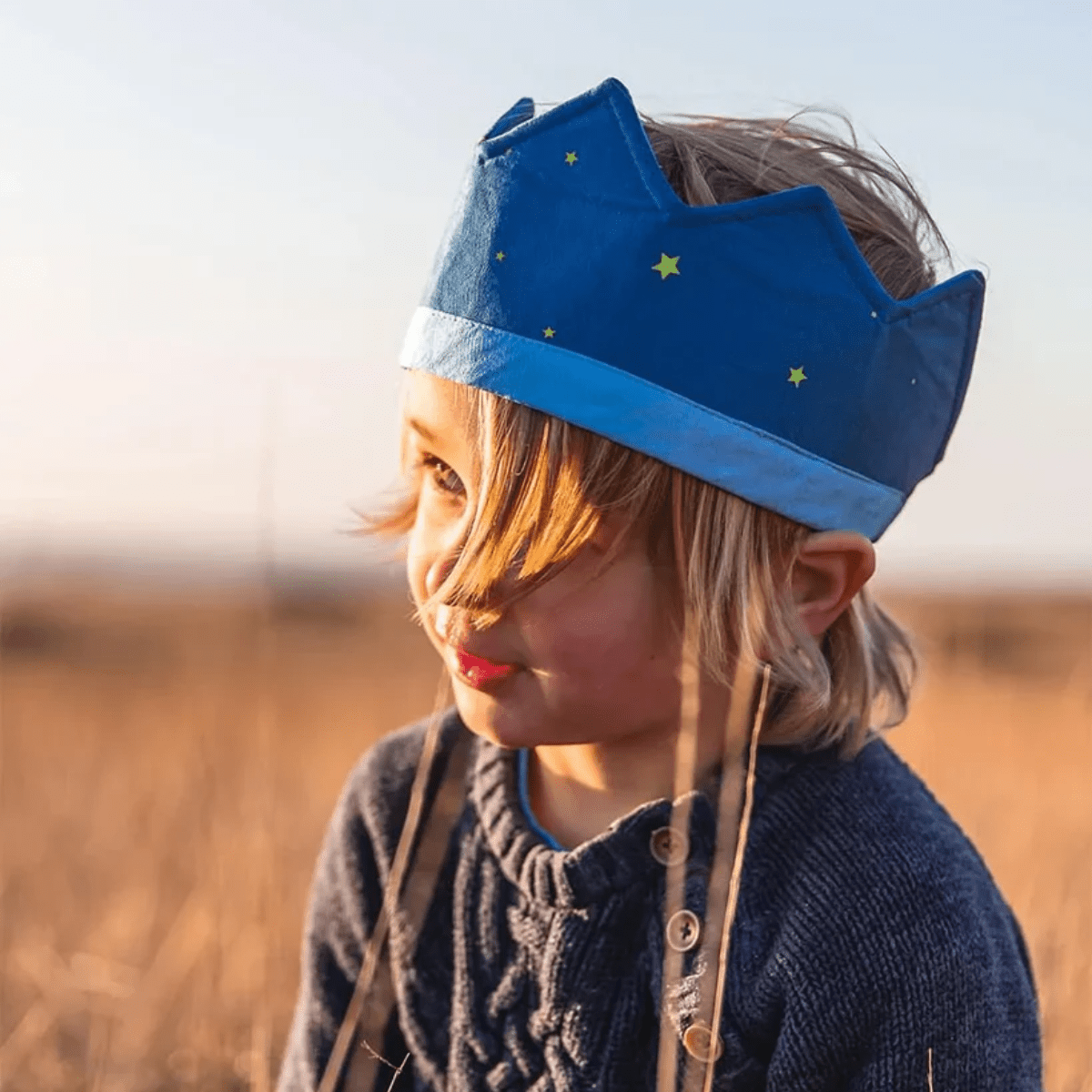 SARAH'S SILKS Crown - Starry Night (DP)