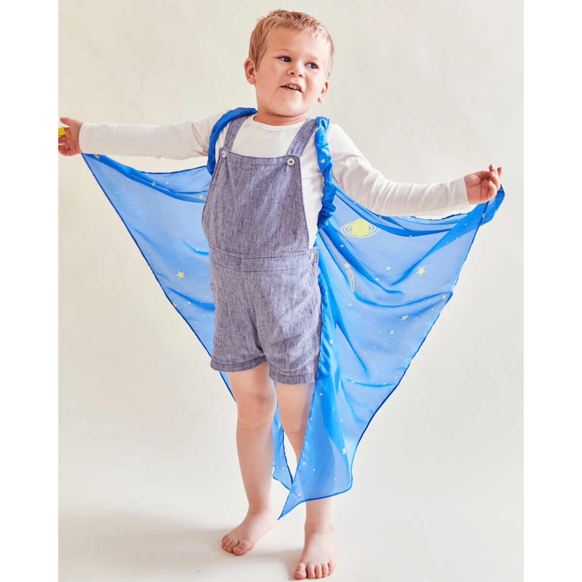SARAH'S SILKS Wings - Starry Night (DP)