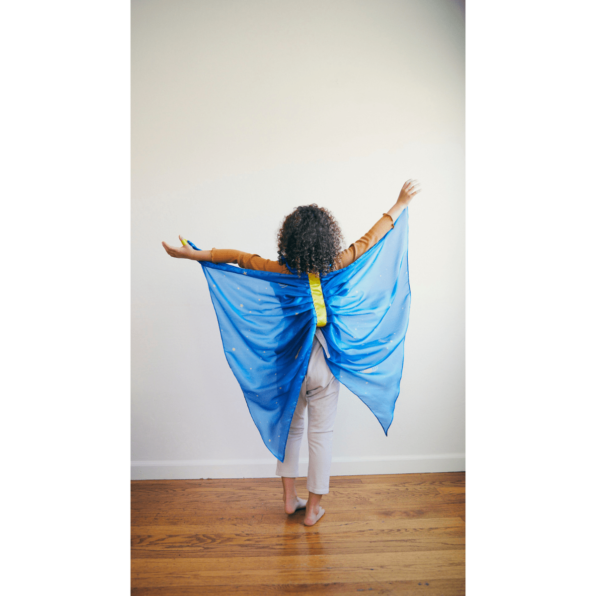 SARAH'S SILKS Wings - Starry Night (DP)