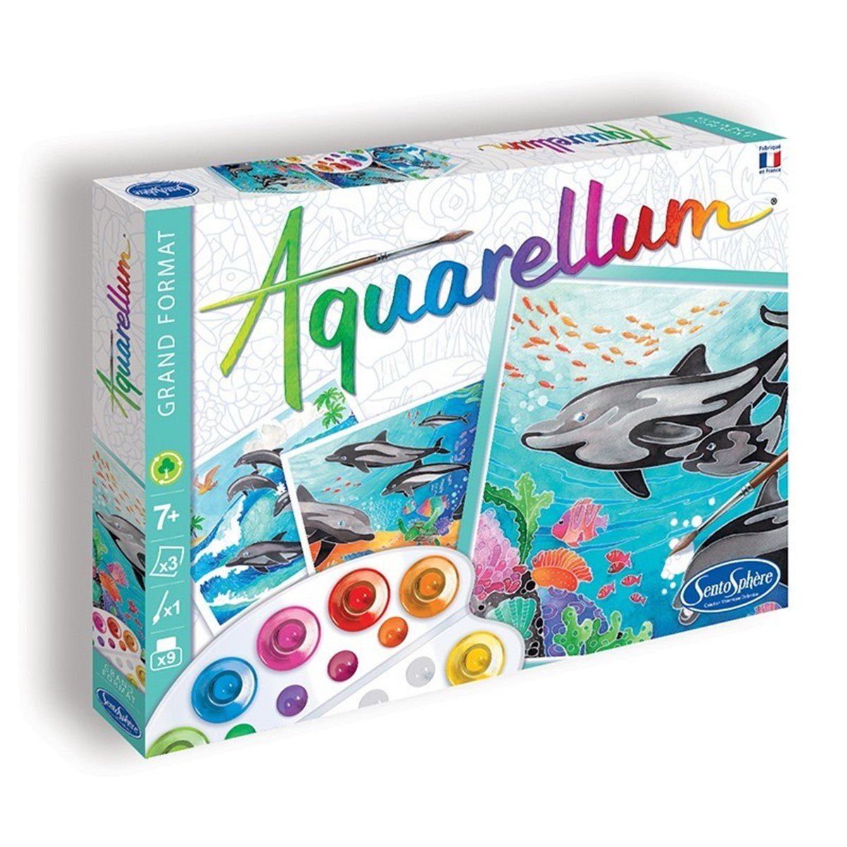 SENTOSPHERE AQUARELLUM "Dauphins" - Dolphins