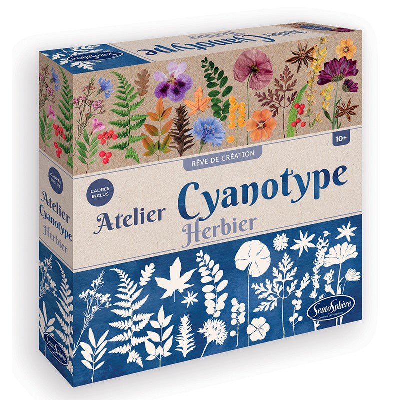 SENTOSPHERE Atelier Cyanotype Herbier