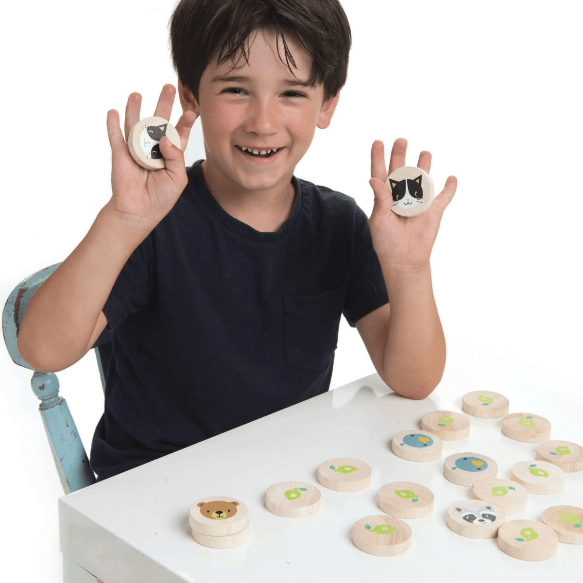 TENDER LEAF Clever Cat Memory Game